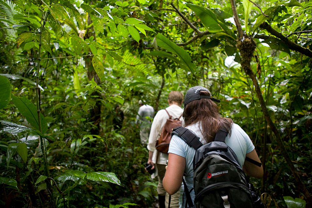 Amazon jungle trekking