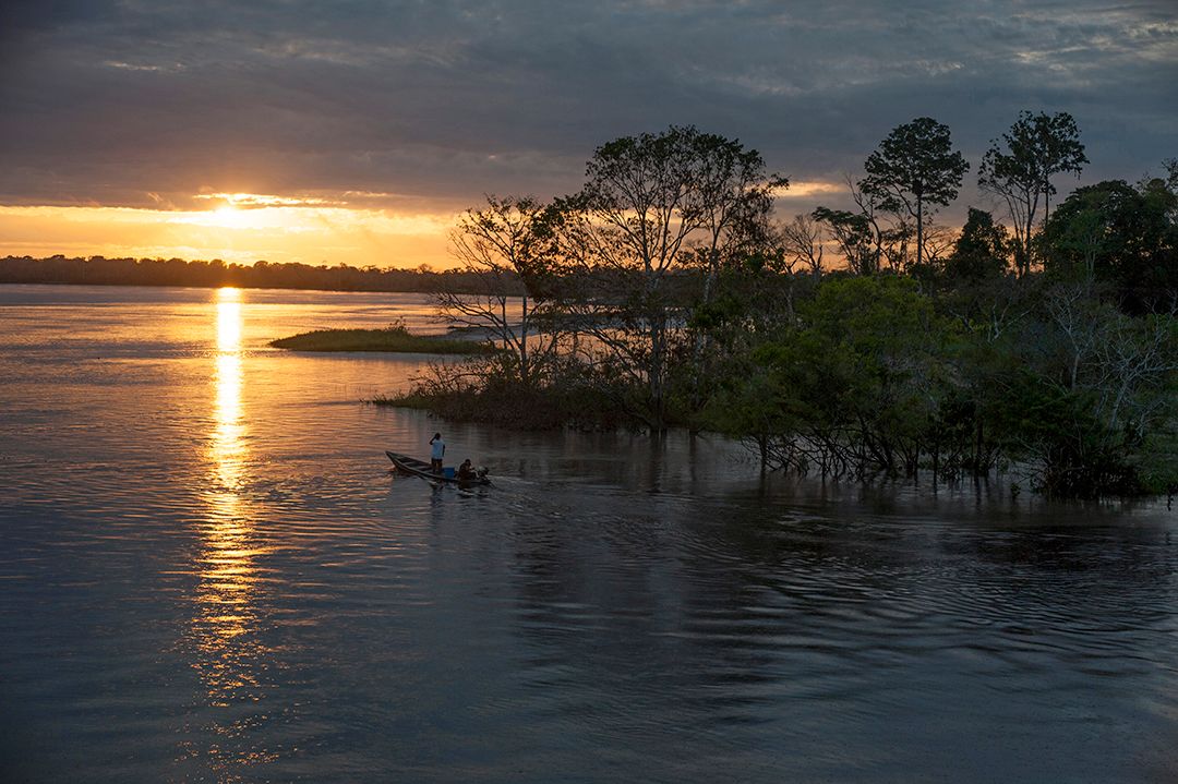 Amazon landscape